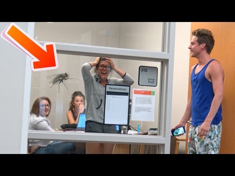 flies-in-the-library-prank!