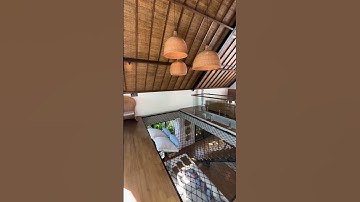 A modern tropical house nestled in a natural setting—a dreamy Bali home!🌴#shorts #tropicaldesign