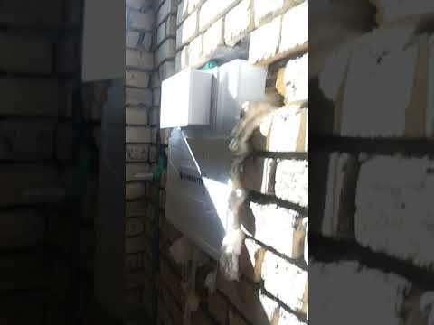 تثبيت الشرقي الدفن 2022 11 26