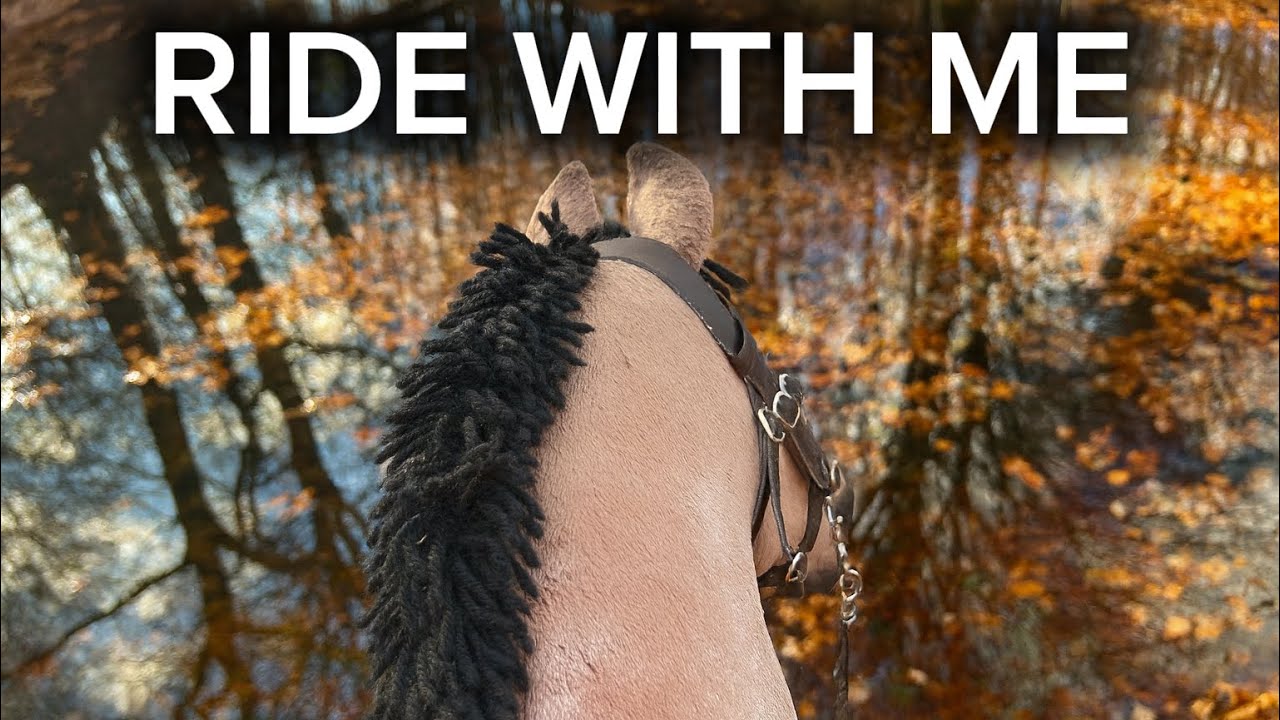 HOBBY HORSE RIDING🍂🐴