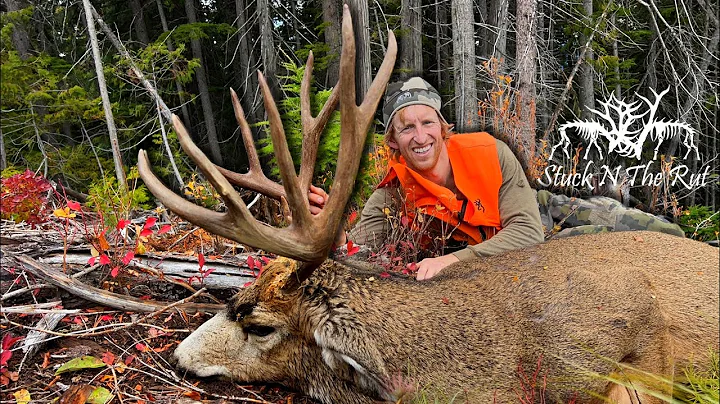Opening Day Surprise | Too BIG to Pass Up!!! Montana Mule Deer Hunt - Stuck N The Rut 218