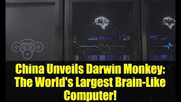 China Unveils Darwin Monkey: The World