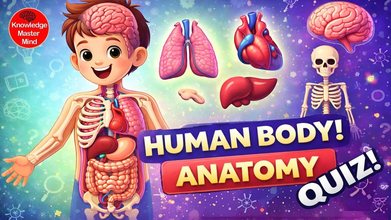 🧠 Body Parts Quiz | 25 Fun GK Questions | Knowledge Master Mind