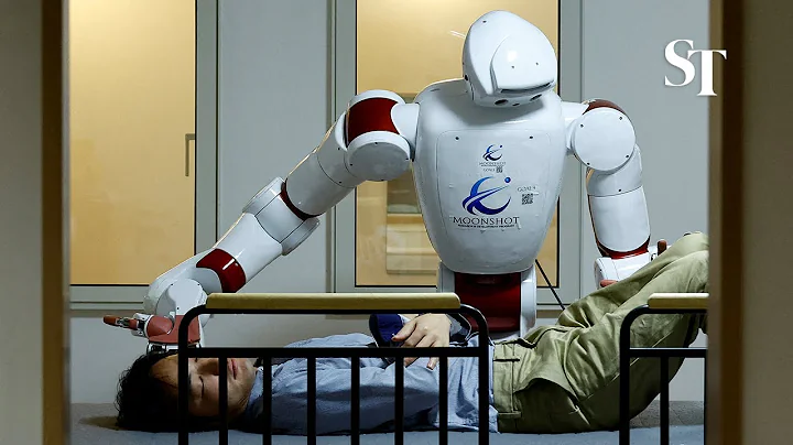 Ageing Japan turns to AI robots to care for older people