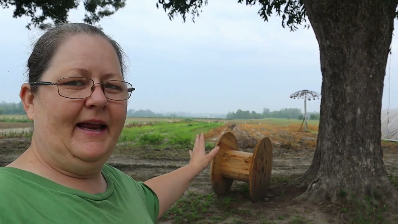 Get Your Fall Garden In YouTube get-your-fall-garden-in-youtube