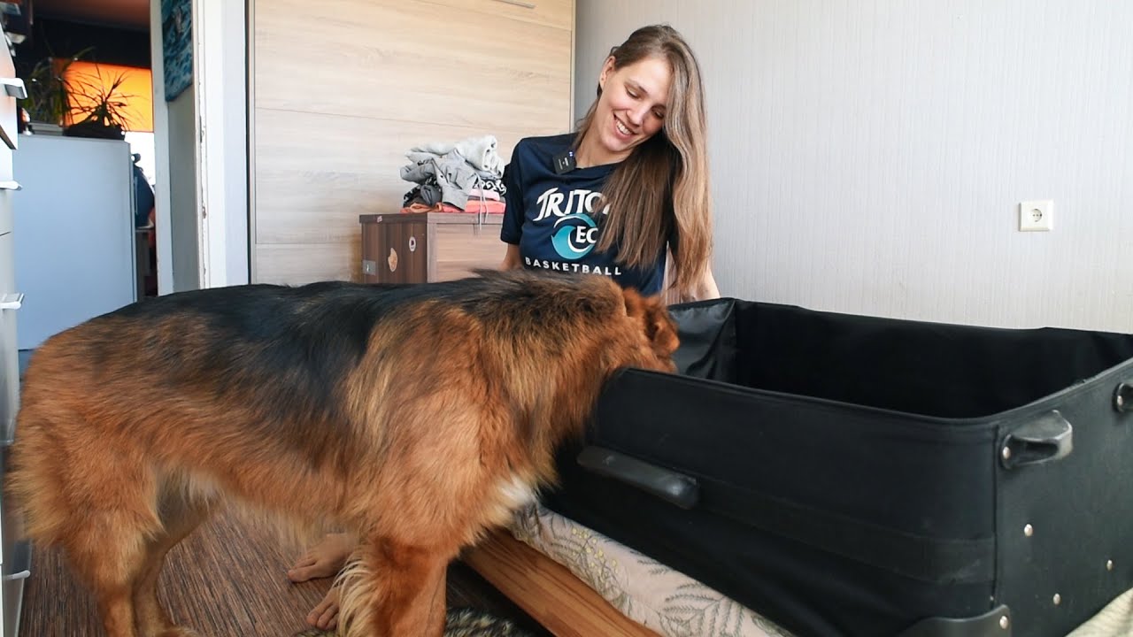 Dog prepares for Finland | Jack ep. 2