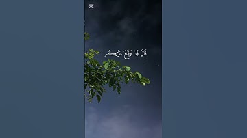 #اكسبلور #لايك  قرآن كريم  | راحة نفسية