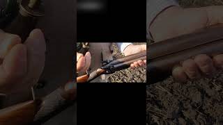 Muzzle loading pheasant hunt #capandball #blackpowder #muzzleloading #percussion #hunting