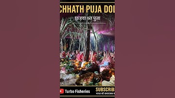 Chhath Puja 2025 Short Video 🌞 #ChhathPuja #FestivalVibes#chhathpuja #cofs gumla#reels #shorts