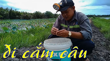 CSRV 66 | ĐI CẮM CÂU CÁ LÓC mùa mưa là phải hỏi ý ông trời coi có cho câu không đã