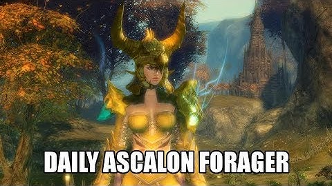 Guild Wars 2 Daily Ascalon Forager Achievement | Grape Farm Node