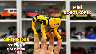 Çinliler ÜNLÜ Robot Köpeği 15 Dolara KLONLADI!