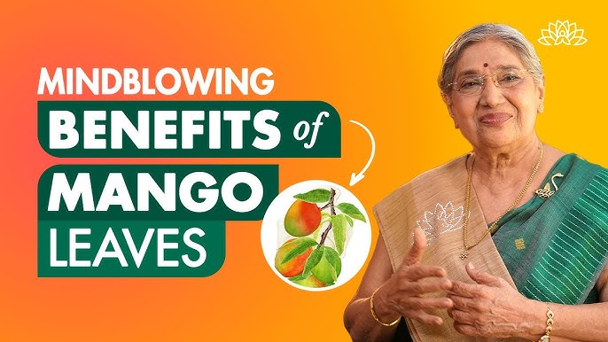 mango leaves benefits