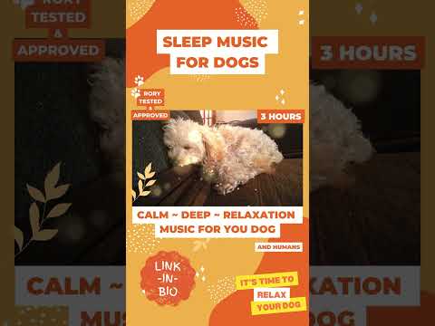 3 HOURS - SLEEP MUSIC FOR DOGS #shorts #pets #animals