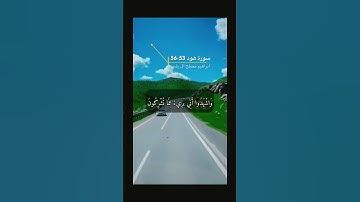 سورة هود الايه 53-56