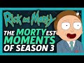 The Mortyest Moments From Season 3!