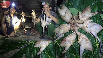 BẪY GÀ RỪNG NGỦ ĐÊM, BỘI THU GÀ RỪNG, TRẢI NGHIỆM NGỦ RỪNG - THỢ NÚI