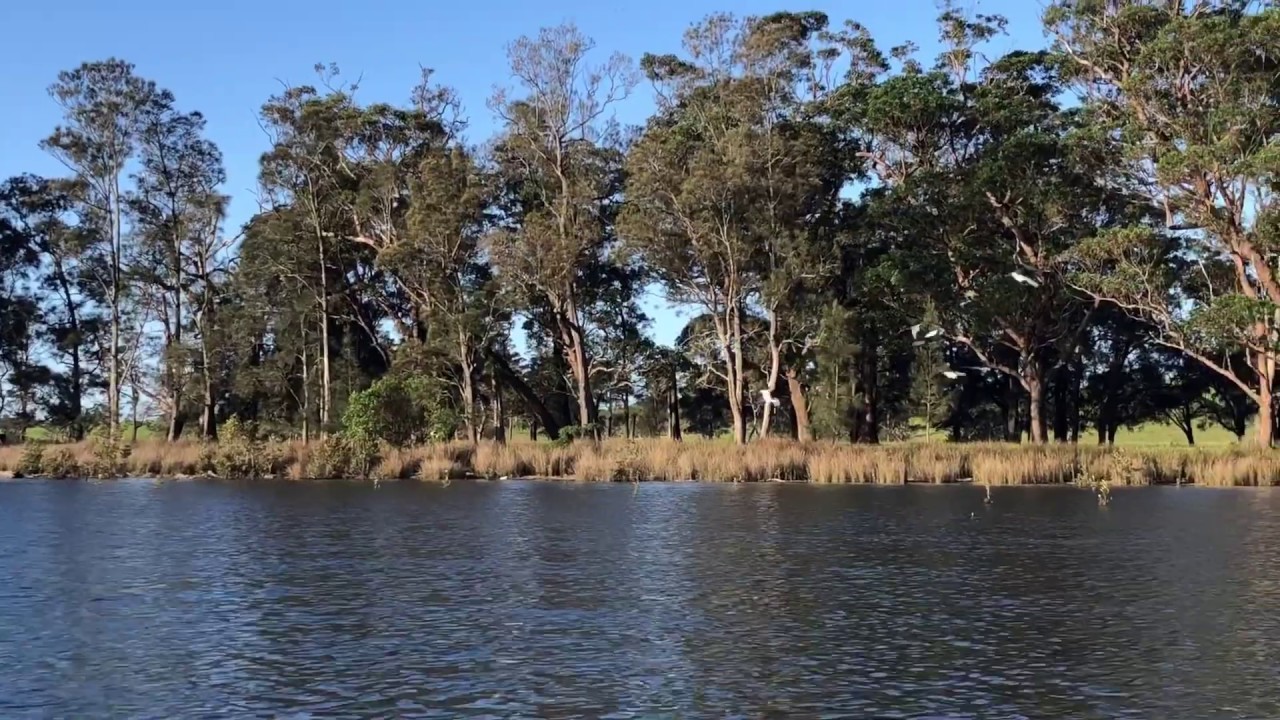 Repairing the Crooked River Catchment YouTube