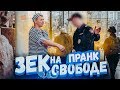 Зек на свободе пранк / Вджобыватели подстава