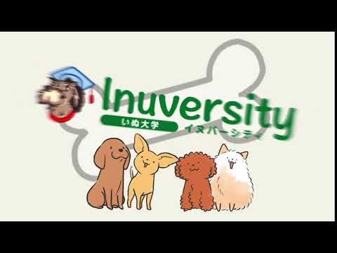 企業PR動画・研修動画・YouTube動画編集等あなたに沿った映像をお届けします
