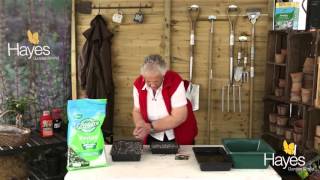 How To Sow Spring Cabbages