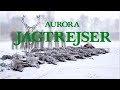Wild boar hunting in Poland best shots of the season 2015 from Aurora Jagtrejser