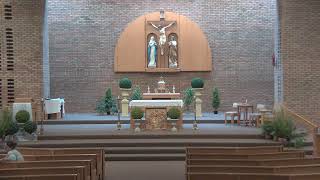 July 11, 2026--4:00 pm Mass--15th Sunday in Ordinary Time
