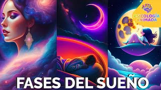 ¿Cuáles son las Fases del SUEÑO? Resumen Animado