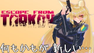 始めたてのタルコフ　まだ分からん！-pvp-【#バ美肉 】