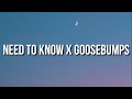 doja cat x travis scott - need to know x goosebumps (Lyrics) [tiktok song]