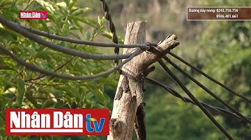 Bất cập lưới điện hạ áp nông thôn ở vùng cao | Hộp thư truyền hình