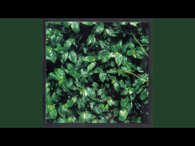 OH YEAH! (ココロに花を) - YouTube