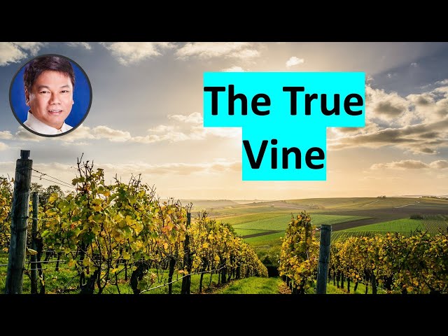 The True Vine (Pastor Ed Lapiz) class=