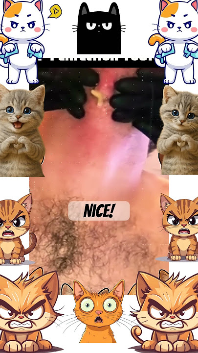 Wait for the pop 🤢