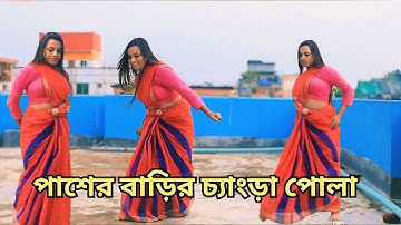 পাশের বাড়ির চ্যাংড়া পোলা | Paser Barir Chengra Pola | New Dj Dance Video 2025 | Mr Dance Media