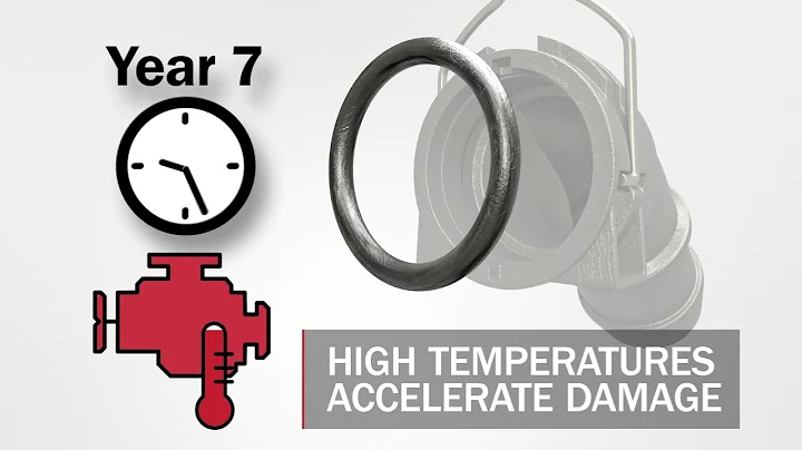 Protect The Ride – O RINGS & RUBBER