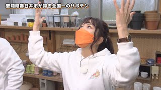【全国一のサボテン】後藤サボテン（愛知県春日井市）【あまドラ～天野っちのドライブしよう！！～】