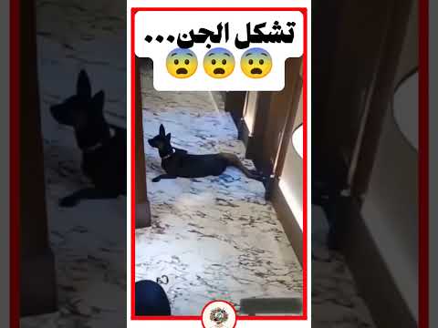 الجن تشكل في هيئة بنت جن مخيفة ترند غرائب عجائب سقوط اكسبلور