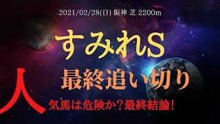 最終追い切り すみれステークス 2021 人気馬は危険 狙える穴馬も含めた最終結論 中央競馬予想 Youtube