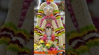 Om namah shivaya #shortsfeed #shorts #youtubeshorts #siva #arunachalam #temples #hindhugods #hindu