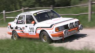 53. Rallye Český Krumlov 2026 | 310 | Jan Hálek - Patrik Sigmund
