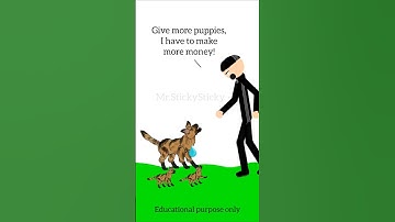 2D ,elimination of violence against women, animal version, p1,#MrStickySticky, dc2, #shorts