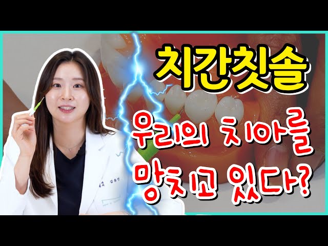 💥치간칫솔, 우리의 치아를 망치고 있다❓ | 치간칫솔 사용법, 주의사항💥