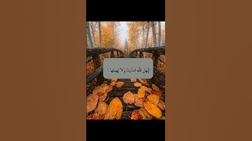 سورة الشعراء بصوت عبد الكريم صحراوي