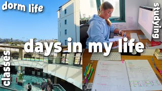 days in my life at SDSU {classes, dorms, studying}