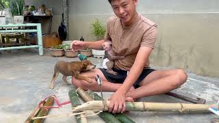 Why is baby monkey Bika angry at puppy Milo and his dad?
