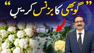 Business Tips | Do Cauliflower Business | Javed Chaudhry | SX1R