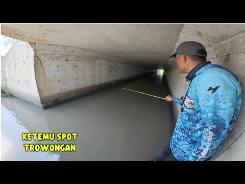Tak menyangka, Bisa banyak ikanya di spot mancing seperti ini