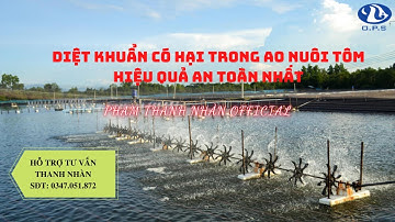 DIỆT KHUẨN TRONG AO NUÔI TÔM HIỆU QUẢ AN TOÀN NHẤT | PHẠM THANH NHÀN OFFICIAL