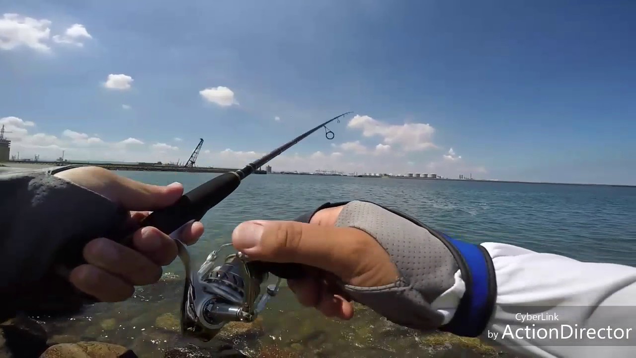 北部釣點 新手教學 如何在魚群中釣大魚 北部岸拋鐵板釣點